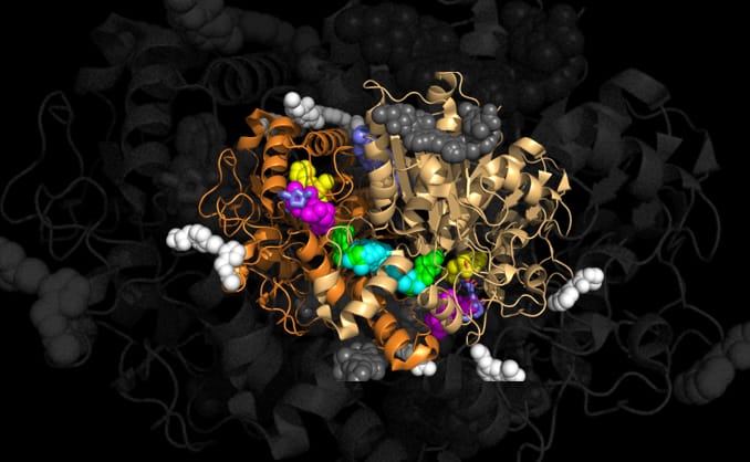 Structural Biology Research May Take a Hit Amid Fiscal Uncertainty